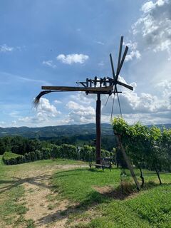 Kulinarische Weinbergwanderung Klapotetz (c) TV Di