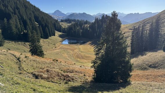Foto von peter_oe entlang der Tour