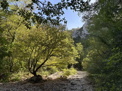 Fotó a Grizzli honlapról a túra során