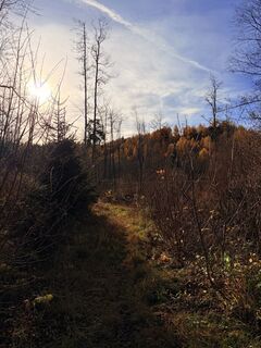 Fotografia z TallWanderBilly na trase