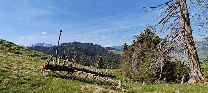 Fotografija s spletne strani deniuru na poti