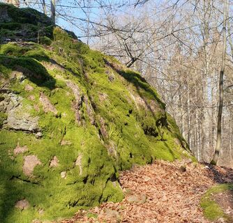 Fels mit Informationstafel der Georoute 9 "Ruhlaer Insel"