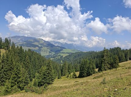 Fotografia z Pia na trase