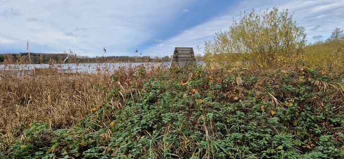 Foto de Bernd Schmitt a lo largo del recorrido