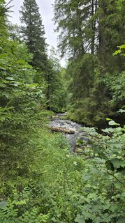 Foto fra Astrid L. underveis på turen