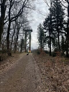 Foto de Martin Pohl a lo largo del recorrido