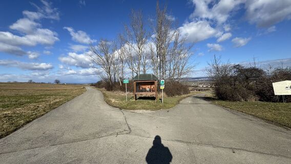Photo de Werner Wild le long du parcours