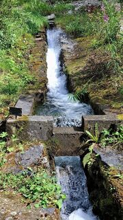 Foto de Elisabeth Vonarburg a lo largo del recorrido