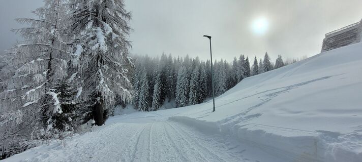 Foto von Nicky entlang der Tour