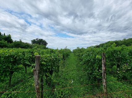 Fotografia z Gregor Bizjak79 na trase