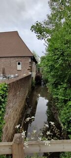 Fotografija s spletne strani Gie van den eeckhaut na poti