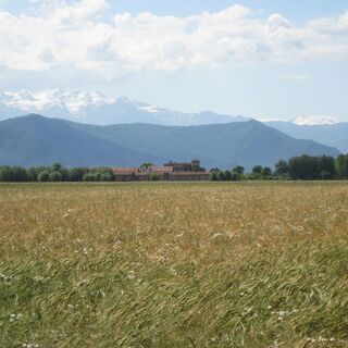 Wiesen im Stupinigi-Park