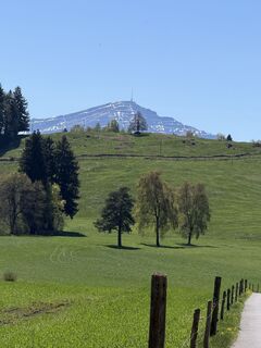 Photo de Astrid le long du parcours