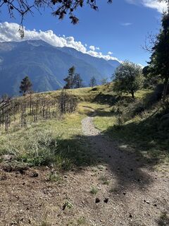 Foto von Rohkost1 entlang der Tour