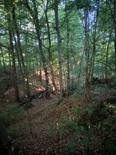 Fotografia z Poschacher na trase