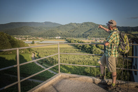 Buchholzer Rebberg: Blick auf den Kandel