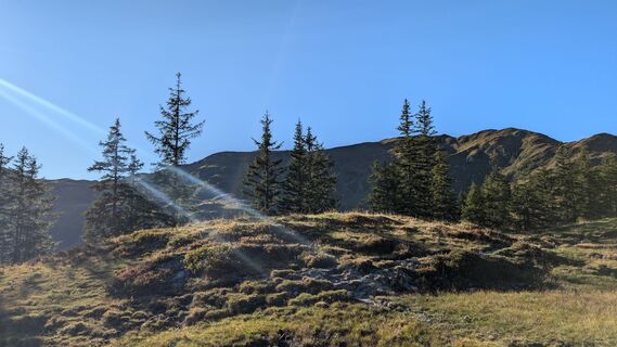 Fotografija s spletne strani Klaus Lehner na poti