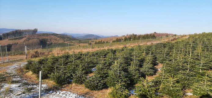 Photo de Georg Meisterjahn le long du parcours