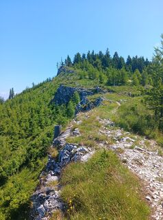 Niedererschöckl