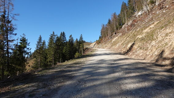 auf der Almstraße zur Wetterinalm