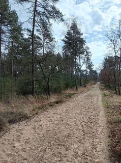 Fotografie z spartaan na trase