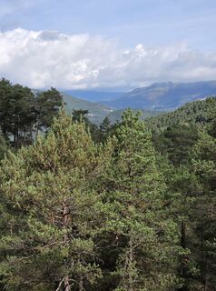 Fotografie z Sandra Hashagen na trase