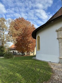 Foto von Yves Ecuyer entlang der Tour