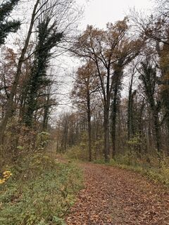 Foto von Marion Schedel entlang der Tour