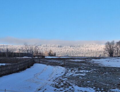 Foto von Bernadette Erla entlang der Tour
