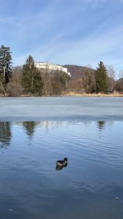 Fotografie z Eveline Zecha na trase