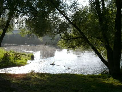 Zemljevid