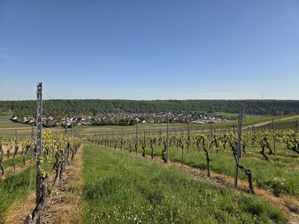 Foto von Timon Bertignoll entlang der Tour