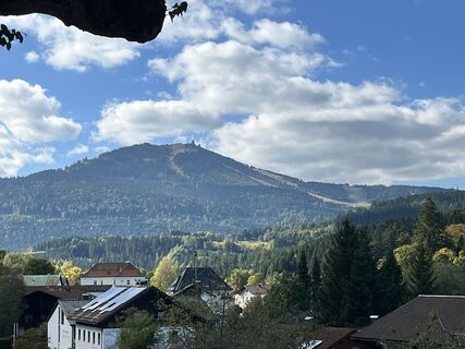 Foto de Stefan Huth a lo largo del recorrido