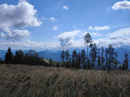 Photo de Angelika Silberhuber le long du parcours