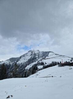 Fotografija s spletne strani MarionFeik na poti