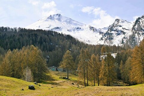 Alpe Toglie, Mattie