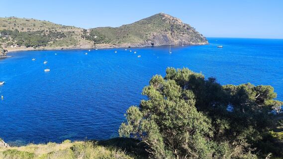 Fotografija s spletne strani CPQS na poti