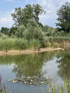 Foto von Wilfried Wagner entlang der Tour