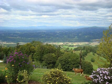 Panoramaschenke Tertinek Aussicht.jpg