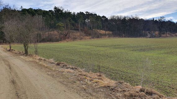 4.9 km Hinten rechts in das Waldgebiet Marital