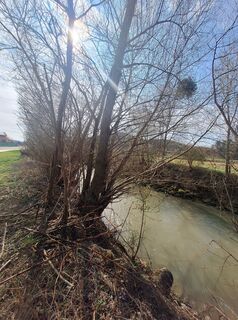Fotografie de la Christa WEIGL de-a lungul turului