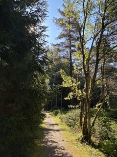 Fotografija s spletne strani Kristina  1 na poti