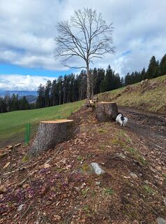 Foto von Dagmar Hofer entlang der Tour