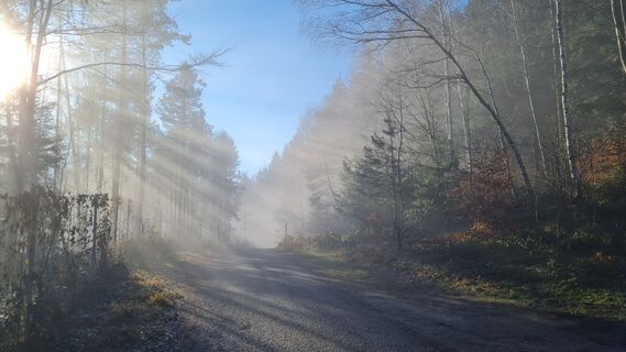 Foto de Gerhard Malecik a lo largo del recorrido