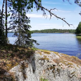 Monnonlahti