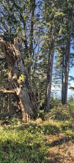 Foto von Peter Forst 1 entlang der Tour