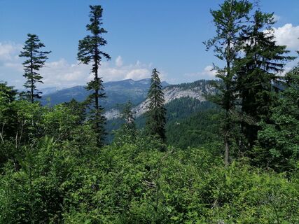Fotografija s spletne strani otmar strasser na poti