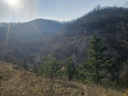 Foto von Margit19721 entlang der Tour