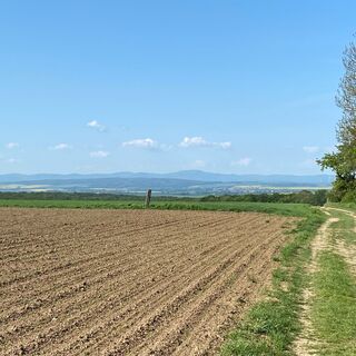 Blick von der "Fixen Idee" zum Inselsberg