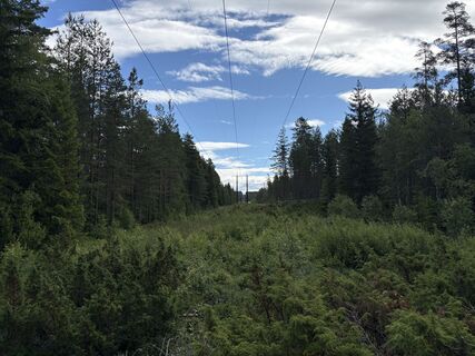 Fotografie z Jako Koel na trase